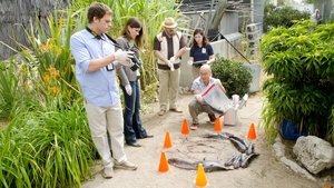 A Horse of a Different Color