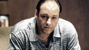 Nobody Knows Anything