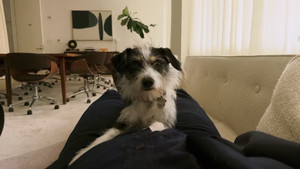 The Pryce Is Wrong II