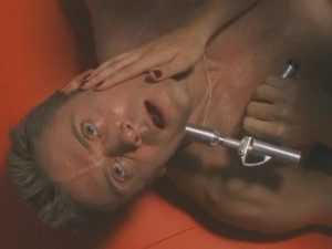 The Divinity Cluster