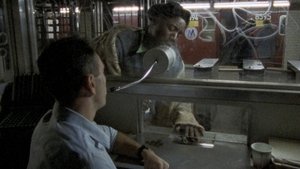 The Friendly Neighborhood Dealer