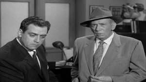 The Case of the Vagabond Vixen