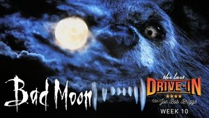 Bad Moon