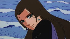 A Black Rose Blooms at Night