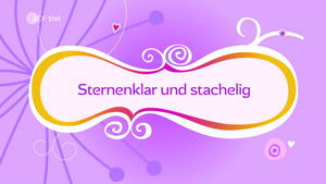 Starry Prickly Night