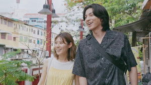 We'll Surely Meet Again