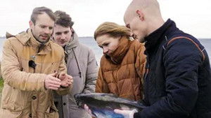 Fisk har også følelser – fat det!