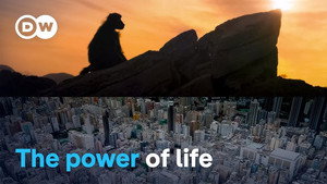 The story of our planet