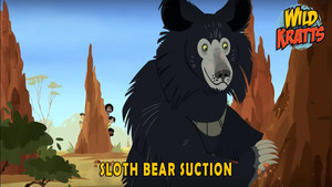 Sloth Bear Suction