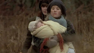 When The Bough Breaks