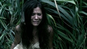 Palekaiko (Paradise)