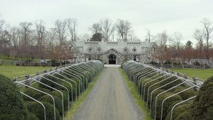 Martha Stewart; Nick Young; Jordyn Woods