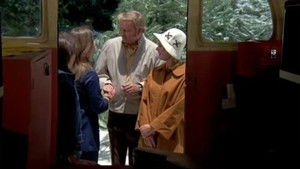 Swiss Family Partridge