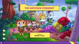 The Haystack Stakeout