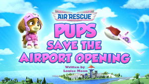 Air Rescue: Pups Save the Airport Opening