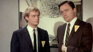 The When in Roma Affair