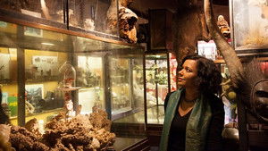 Wondrous Obsessions: The Cabinet of Curiosities