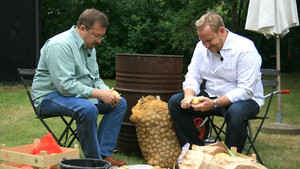 Den Heldige Kartoffel