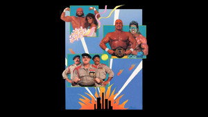 SummerSlam 1991