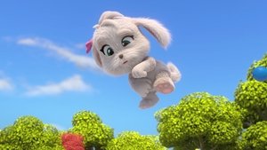 The Best Dog Challenge