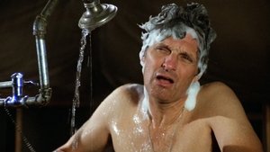 The Tooth Shall Set You Free