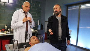 Someone's Got a Woody