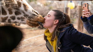 Best Friends Fur-ever