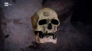 Neanderthal - L'enigma della sua scomparsa