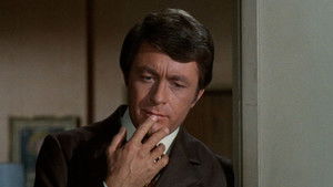 Everybody Needs a Brother