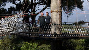 Thailand (Chiang Mai)