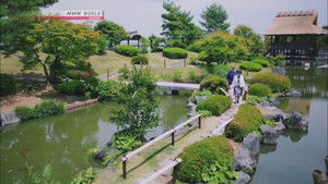 HAIKU MASTERS in Shizuoka, Green Tea