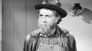 The Case of the Bashful Burro