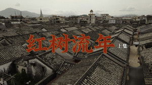 Tides of the Mangrove (1)