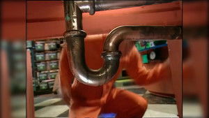 Balance, Beakmania & Camoflage