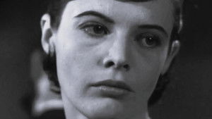 Only by Cunning Glimpses