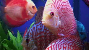 Just What the Doctor Ordered