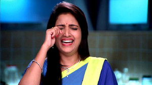 Rescue Plan For Vasant