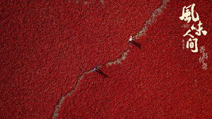 Delicious Spices and Where to Find Them