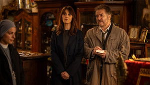 The silence of the cloisters