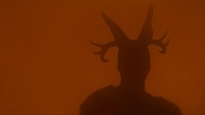 Everything in Its Place