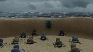 Operation Lemon Landing