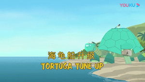 Tortuga Tune-Up