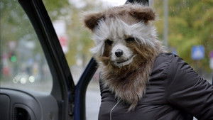 Waschbär und Kaninchen