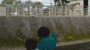 A Walking Path Where You Can See Giraffes