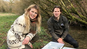 My Countryside Compilation