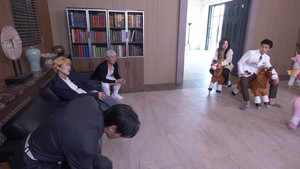 Horseback Riding Quiz