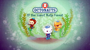 The Giant Kelp Forest