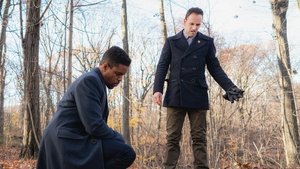 Crowned Clown, Downtown Brown