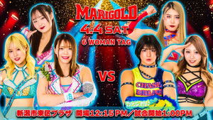 Marigold Spring Victory Series 2026 ~ Day 8