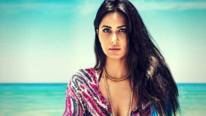 EVERYBODY WANTS KATRINA CAT